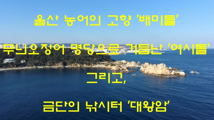 첨부이미지
