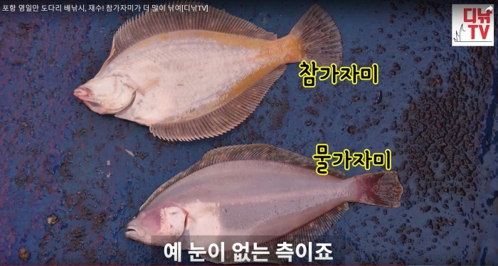 첨부이미지