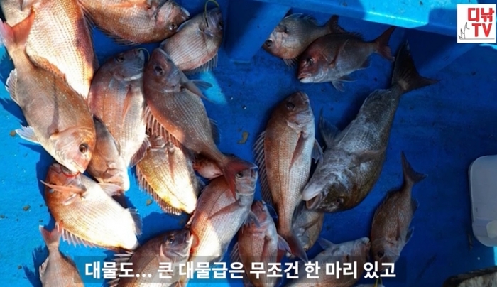 첨부이미지