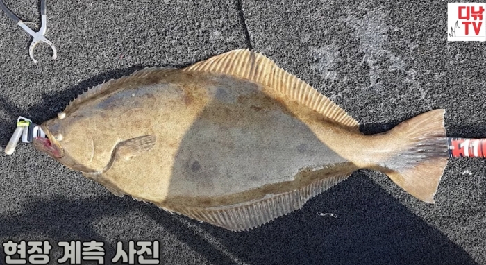 첨부이미지